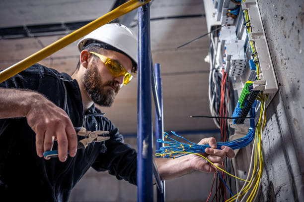 Best Electric Panel Repair  in Enigma, GA